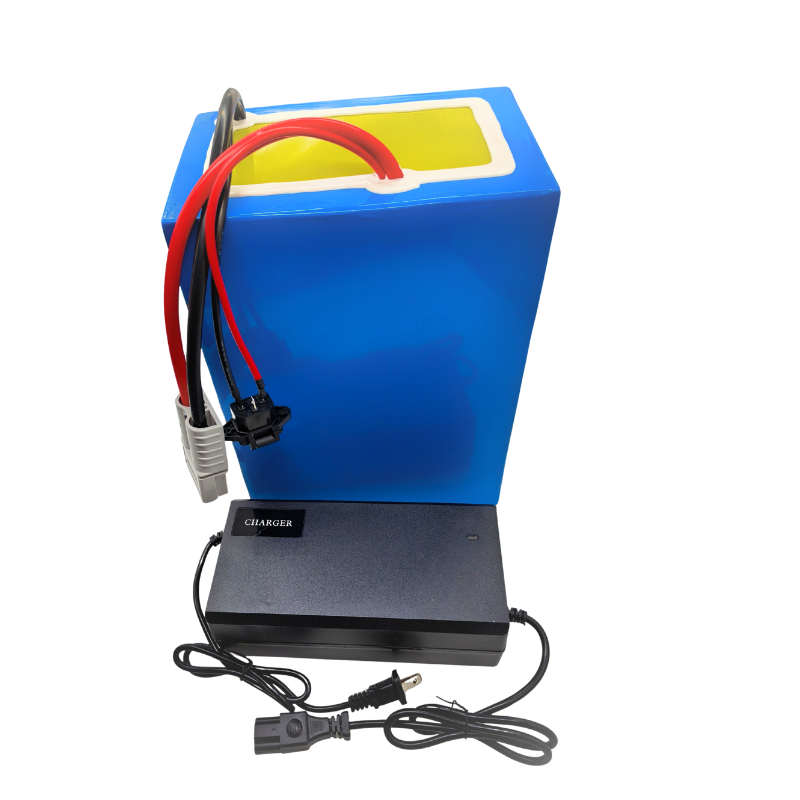 72 В 100 Ач литий-ионный с зар – обзор и цена 72V 60Ah Lifepo4 Battery Pack